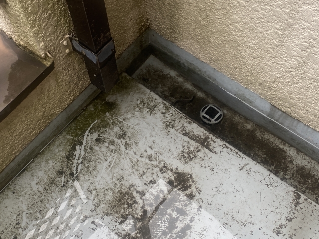 防水のサイン：トップコート劣化